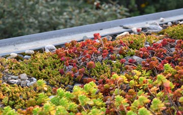the cost of Penygraigwen green roof installation